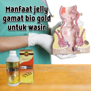 Manfaat Jelly Gamat Bio Gold Untuk Wasir