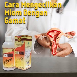 Cara Mengecilkan Miom Dengan Jelly Gamat
