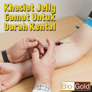 Khasiat Jelly Gamat Untuk Darah Kental