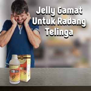 Jelly Gamat Untuk Radang Telinga
