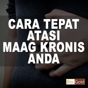 Obat Maag Kronis Jelly Gamat Bio Gold