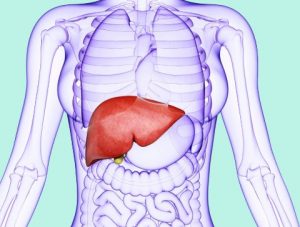 enyebab penyakit gangguan liver