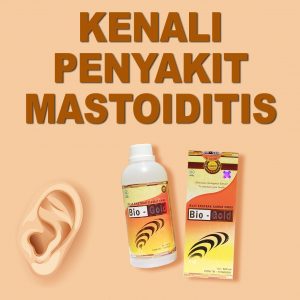 Obat Ampuh Penyakit Mastoiditis Jelly Gamat