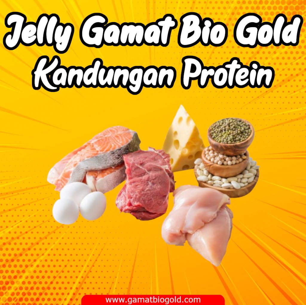 Kandungan Protein Jelly Gamat Bio Gold