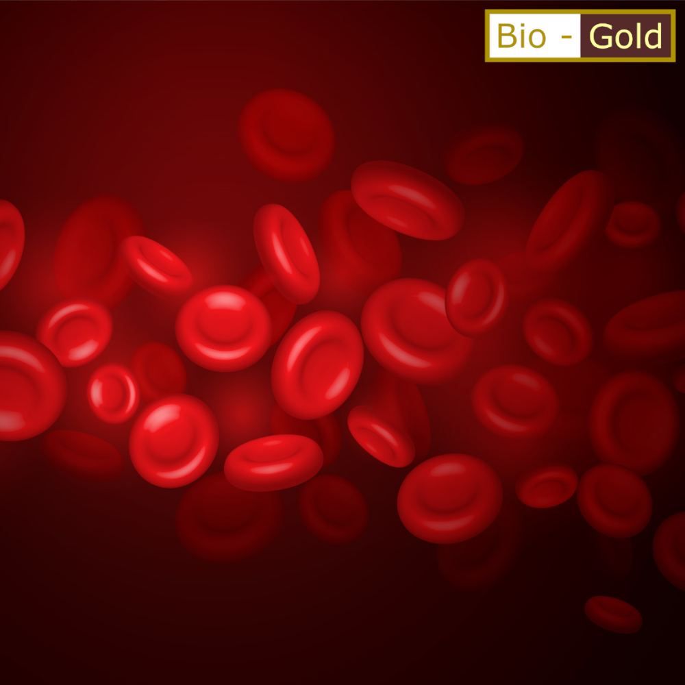 Meningkatkan Sirkulasi darah - gamatbiogold.com